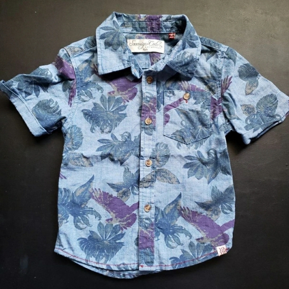 Sovereign Code Blue Button Down size 12 months
